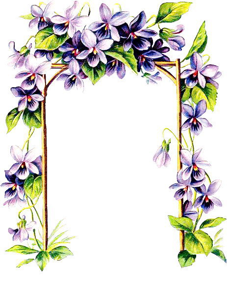 Рамка. Фиалки. - рамка, цветы, фиалки - оригинал