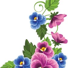 уголок-анютины глазки