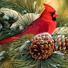 Схема вышивки «Красный кардинал»