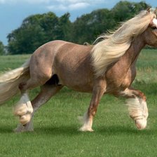 Схема вышивки «Золотая»