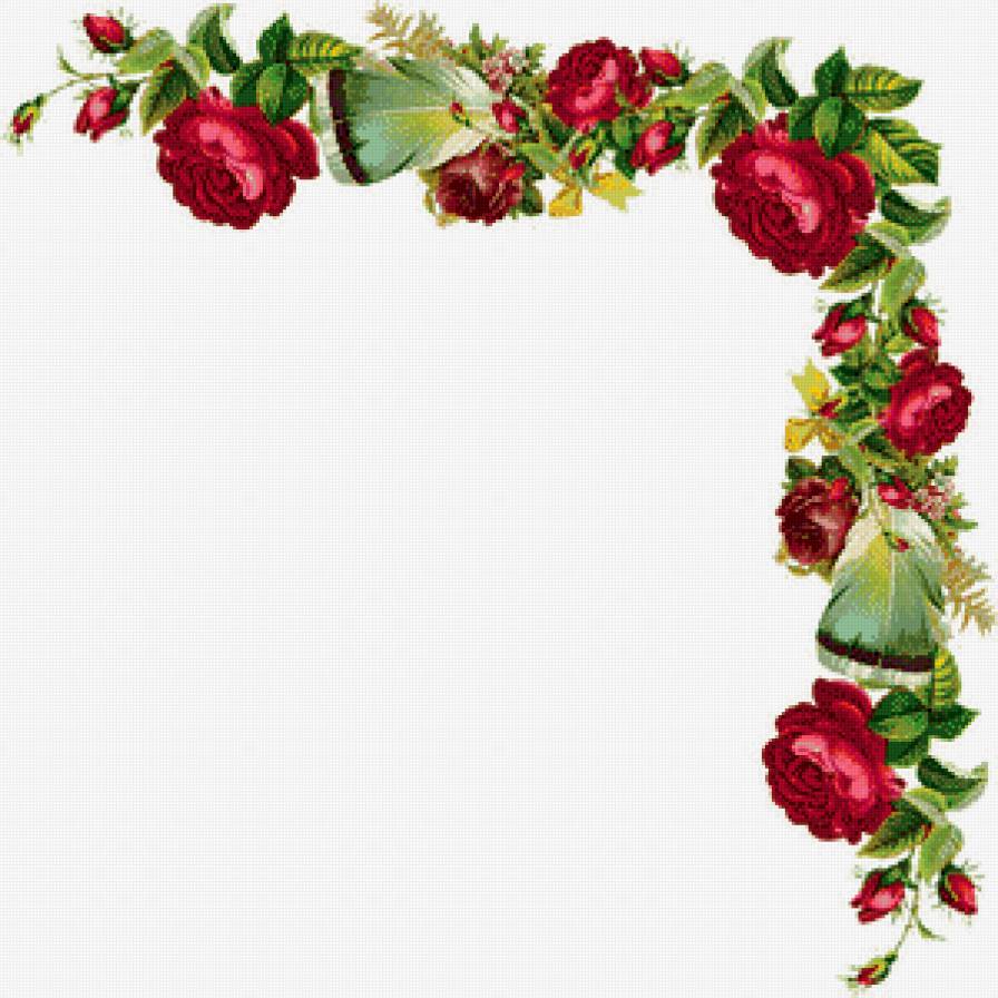 уголок с розами - гирлянда, куст, ветка, акварель, розы, уголок, цветы, букет - предпросмотр