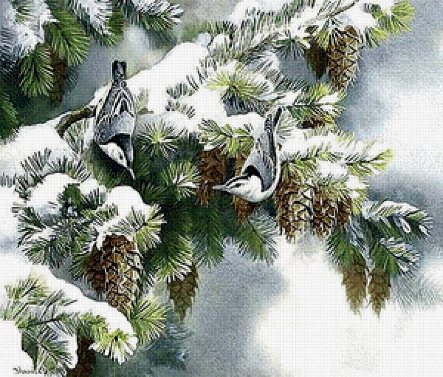 шышкари на ели - ель, синички, снегири, птицы, веточка, снег, сосна, зима, зимородки - предпросмотр