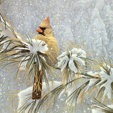 Схема вышивки «зимородок на ветке кедра»