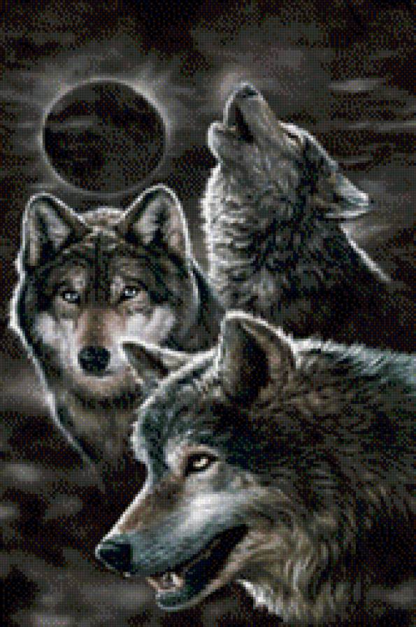 №535268 - волки, животные, зима - предпросмотр