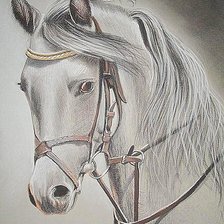 Схема вышивки «Лошадка-символ года»