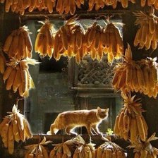 Схема вышивки «Кот и кукуруза»