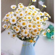 Схема вышивки «Ромашковый букет»