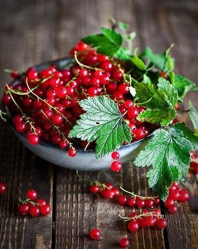 Смородина в чашке - доски, керамика, смородина, натюрморт - оригинал