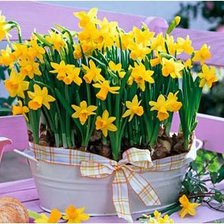 Схема вышивки «цветы»