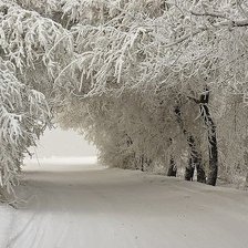 Схема вышивки «зимний тоннель»
