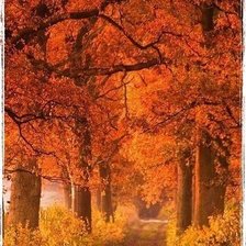 Схема вышивки «№535648»