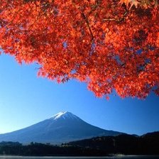 Схема вышивки «№535649»