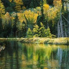 Схема вышивки «№535660»