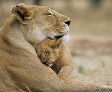 Схема вышивки «мамина  любовь»