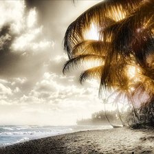 Схема вышивки «Тропический пейзаж»