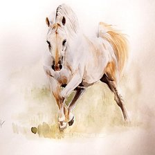 Схема вышивки «белая лошадь»