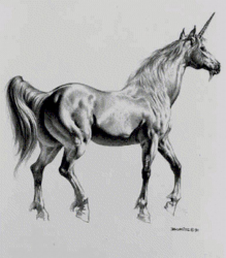 единорог - фэнтази, единорог - предпросмотр