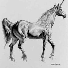 Схема вышивки «единорог»