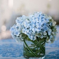 Схема вышивки «Натюрморт в голубых тонах»