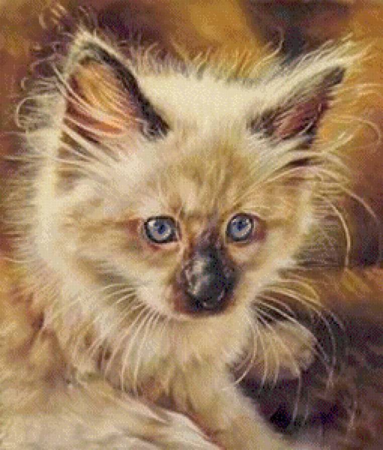 Котенок - кошки, животные, котенок - предпросмотр