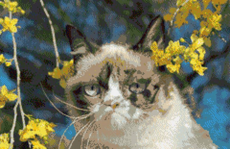 Кошка Тарда весной - кошка, угрюмый кот, тарда, ветки, цветы, весна - предпросмотр