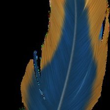 Схема вышивки «перо»