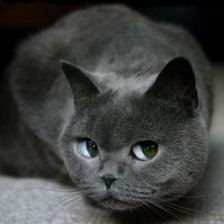 Схема вышивки «взгляд»