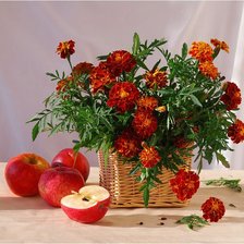 Схема вышивки «НАТЮРМОРТ»