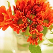 Схема вышивки «№536256»