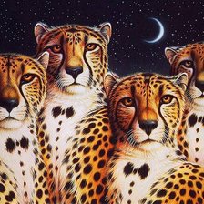 Схема вышивки «"Джентльмены" животного мира»