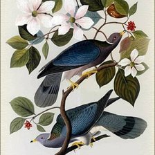 Схема вышивки «Голуби на ветке»