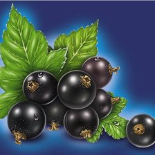 Фрукты для кухни