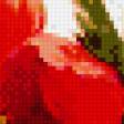 Предпросмотр схемы вышивки «красный мак» (№536556)