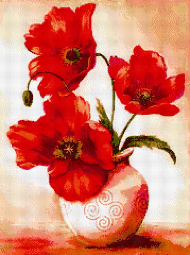 красный мак - цветы - предпросмотр