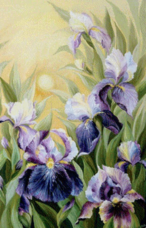 Ирисы (акварель) - живопись, картины, акварель, цветы, ирисы - предпросмотр