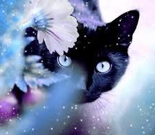 Схема вышивки «№540»