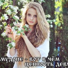 Схема вышивки «скромность»