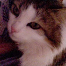 Схема вышивки «мурка»