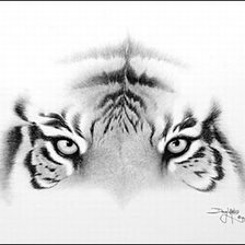 Схема вышивки «ТИГР»