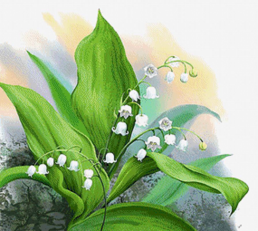 Нежные ландыши - цветы, ландыши - предпросмотр