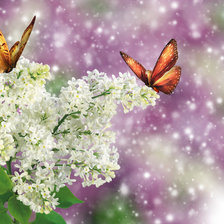 Схема вышивки «бабочки на белой сирени»
