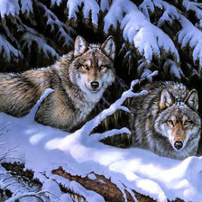 Схема вышивки «Волки»