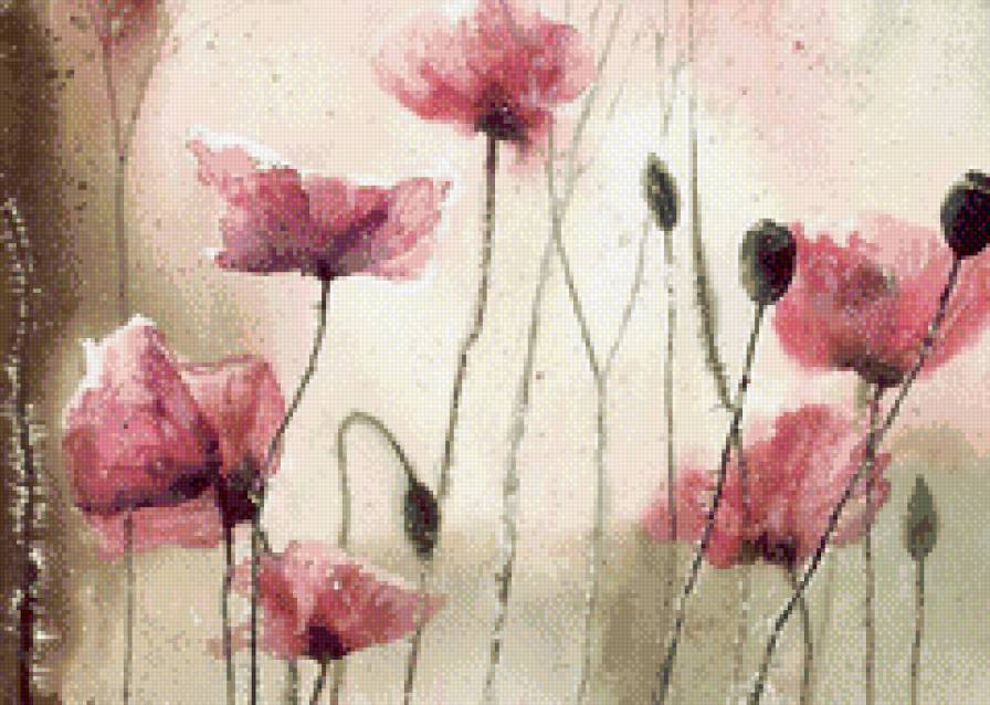 Розовые маки - пастель, мак - предпросмотр