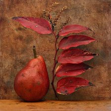 Схема вышивки «Натюрморт с грушей»