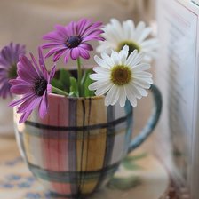 Схема вышивки «Ромашки в чашке»