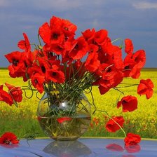 Схема вышивки «МАКИ»