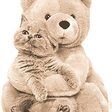 Схема вышивки «Любимый плюшевый мишка»