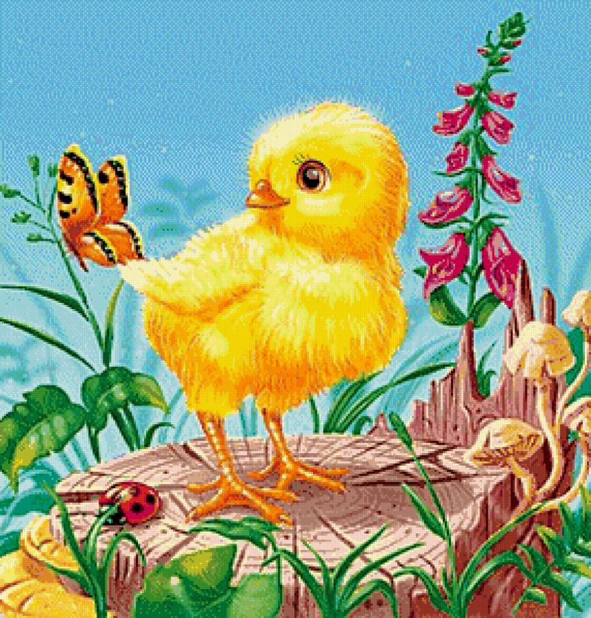 Цыпленок - птенцы, цыплята, птицы - предпросмотр