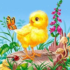 Схема вышивки «Цыпленок»