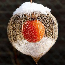 Схема вышивки «Заснеженный китайский фонарик»